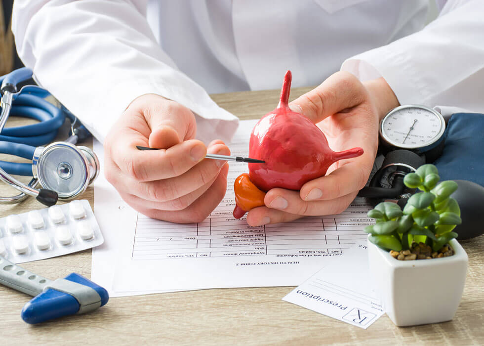 Arzt zeigt dem Patienten die Form der Harnblase mit dem Fokus auf der Hand mit dem Organ.